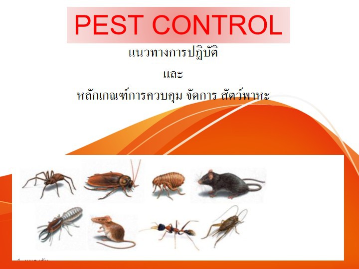 อบรม หลักสูตร การบริหารจัดการ การควบคุมแมลงและ สัตว์พาหะนำโรค (PEST Control and Management)